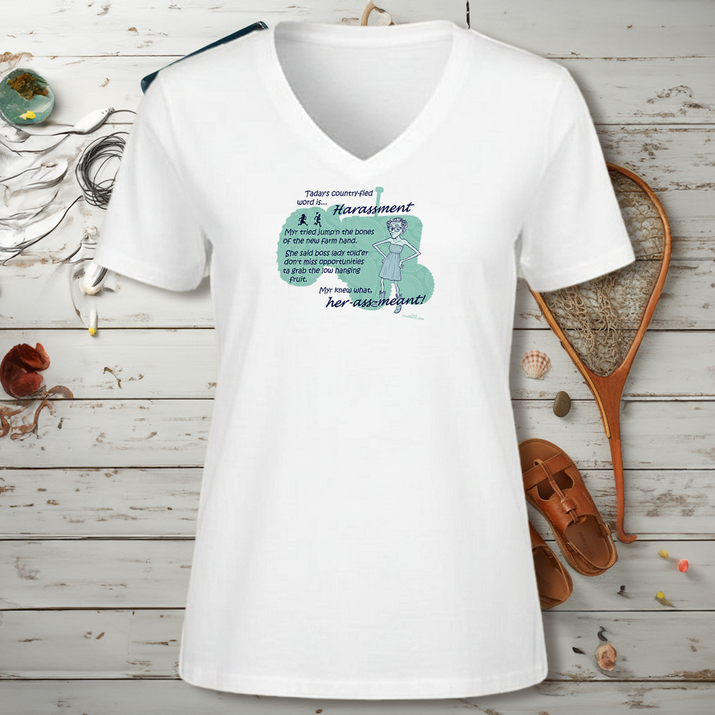 Harrassment - Ladies' V-Neck T-Shirt